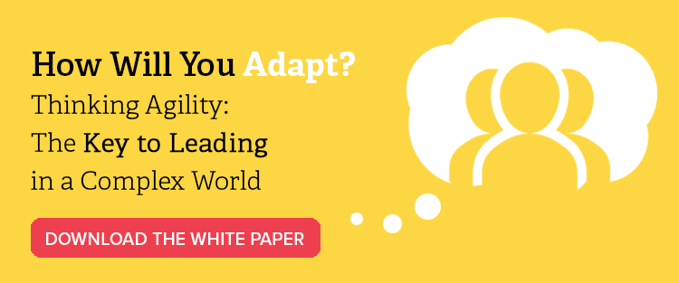 Button to download a Thinking Agility white paper