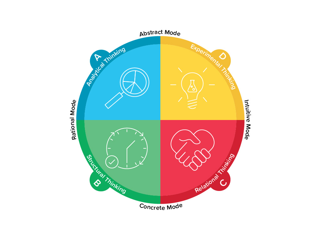 The Whole Brain® Thinking Model