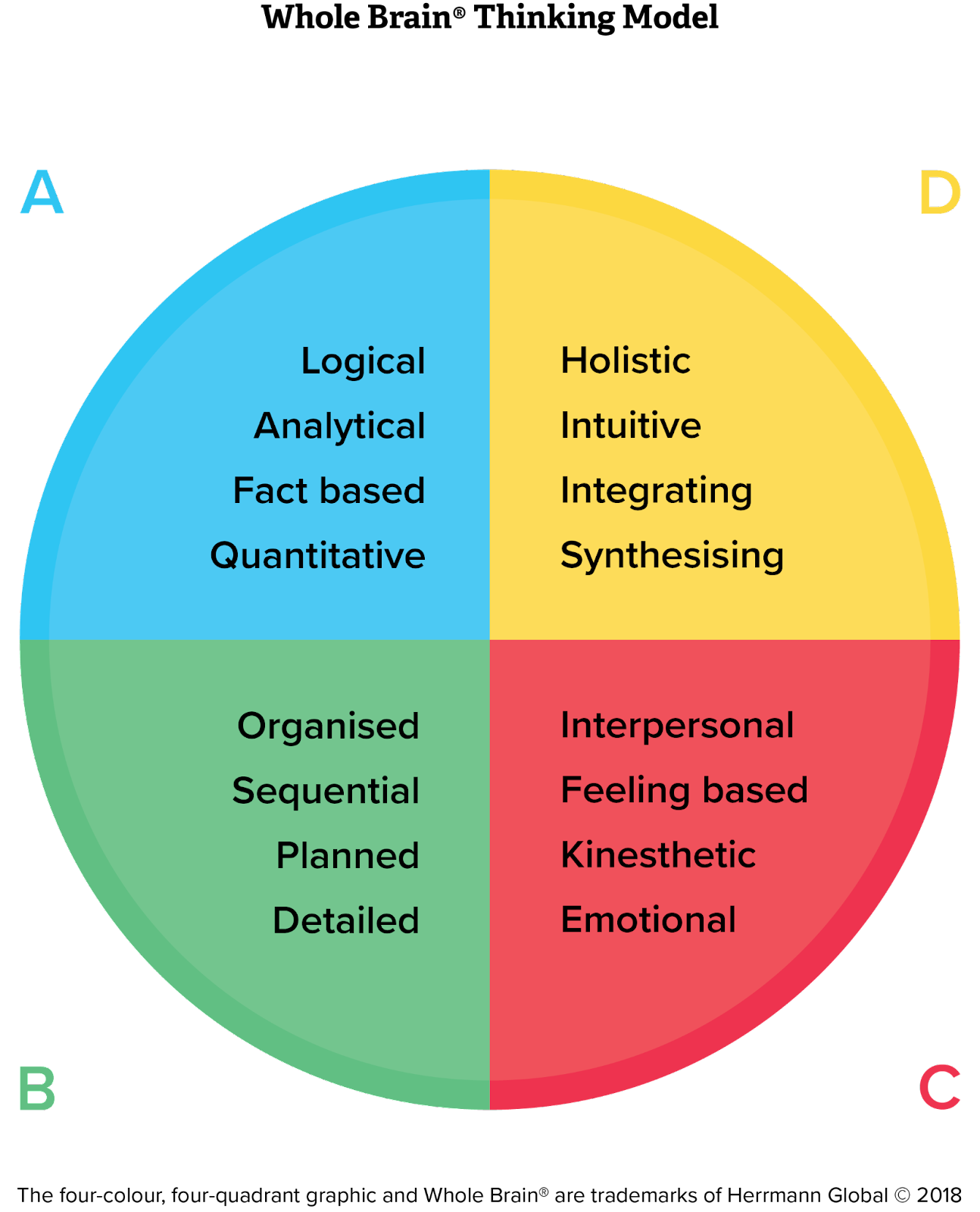 Herrmann Whole Brain® Thinking Model